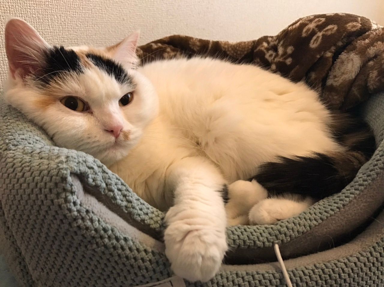 Featured image of the post